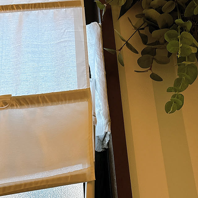 miyuさんの部屋