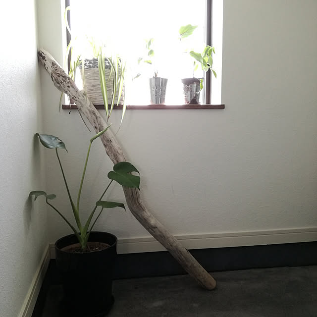 tomo-kaさんの実例写真