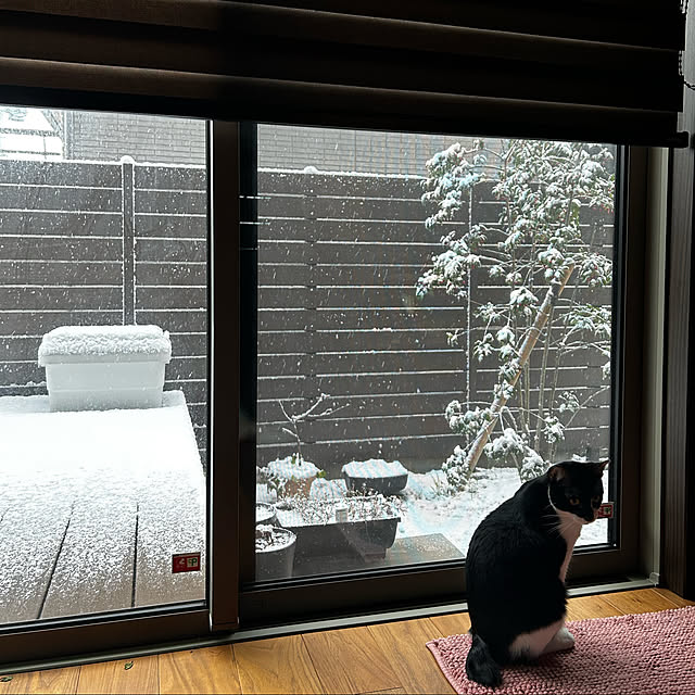 porinさんの実例写真