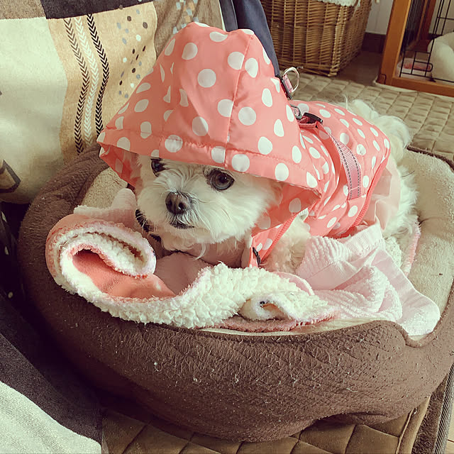 moco.nさんの実例写真