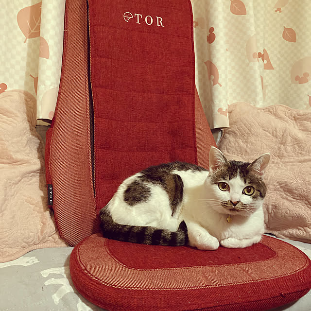 Gomaさんの実例写真