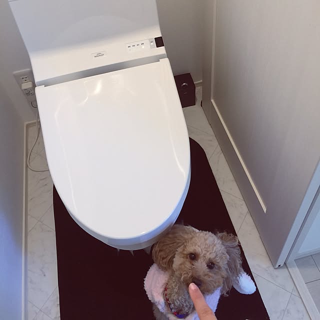 coco6753997さんの実例写真