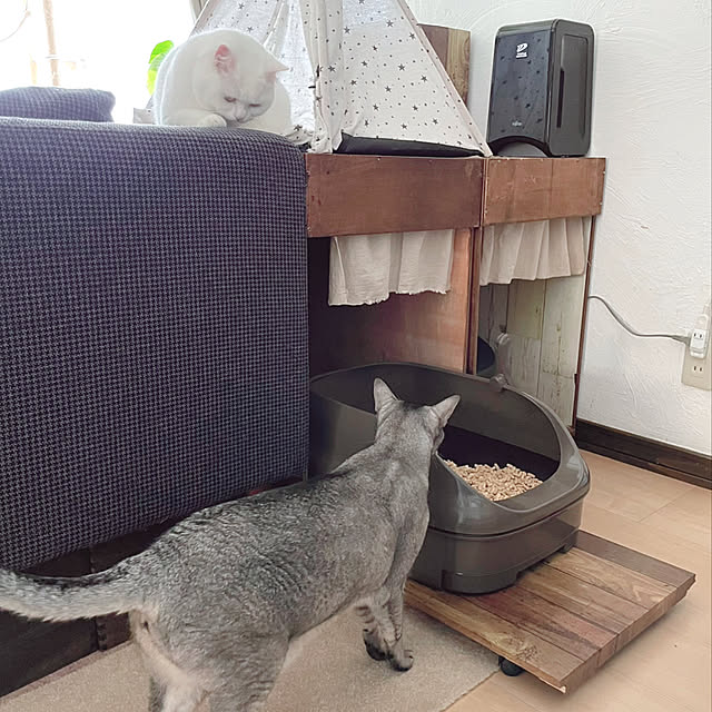 kotoriさんの実例写真