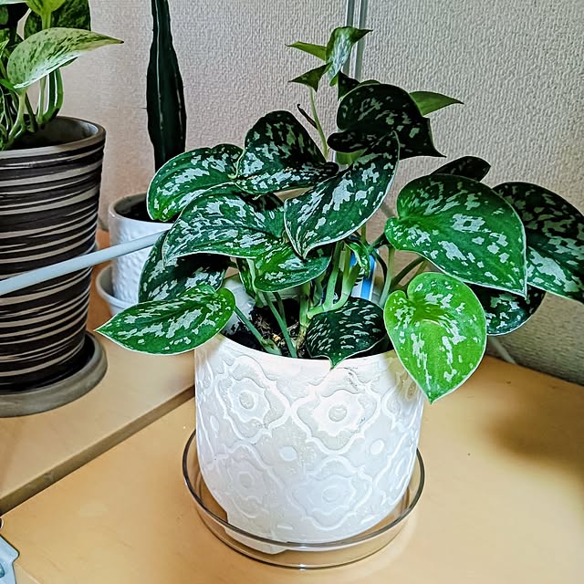 hanachanさんの部屋