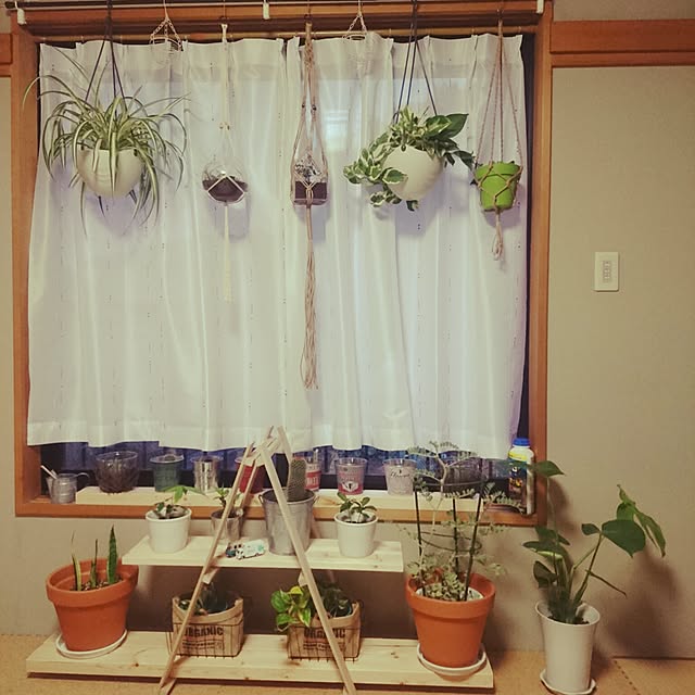 Yasukoさんの実例写真