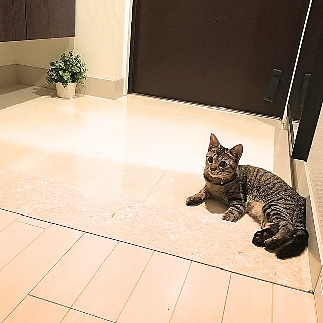 kettiさんの実例写真