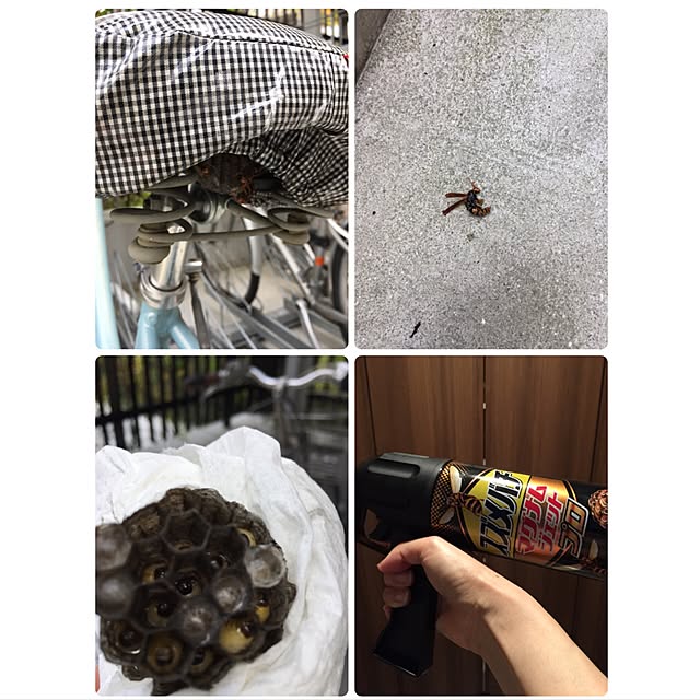 yumikoさんの実例写真