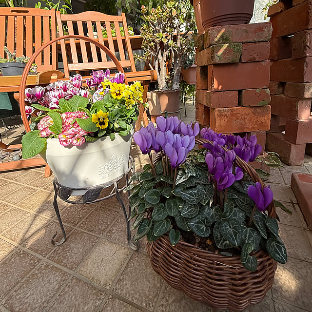 Aqettyさんの部屋