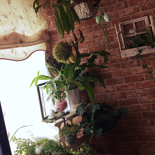 michiさんの実例写真