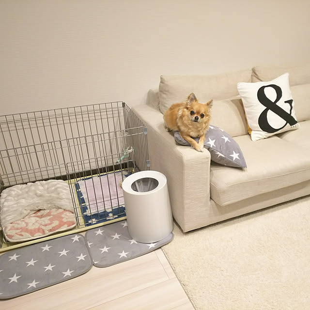 kojikojiさんの実例写真