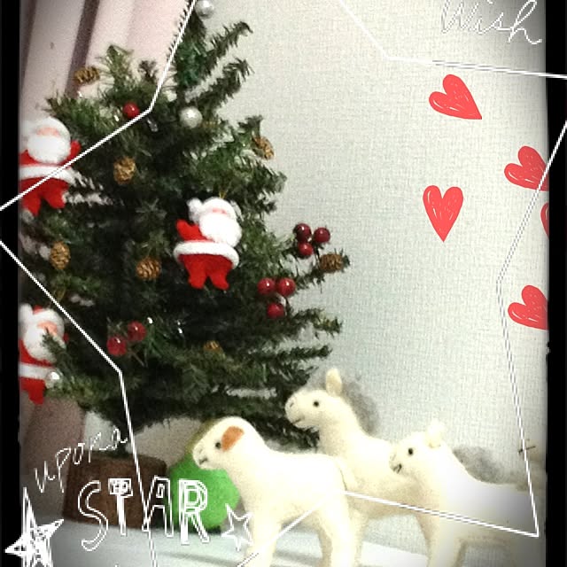 Orieさんの実例写真