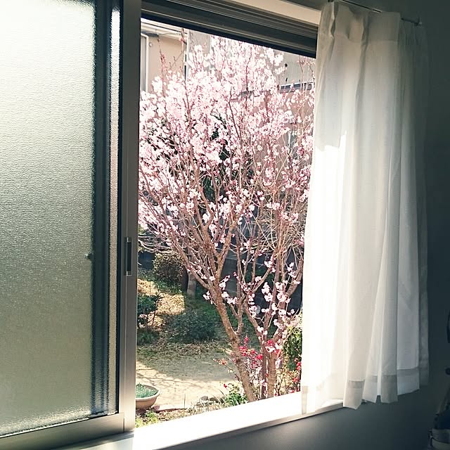 mikateさんの実例写真