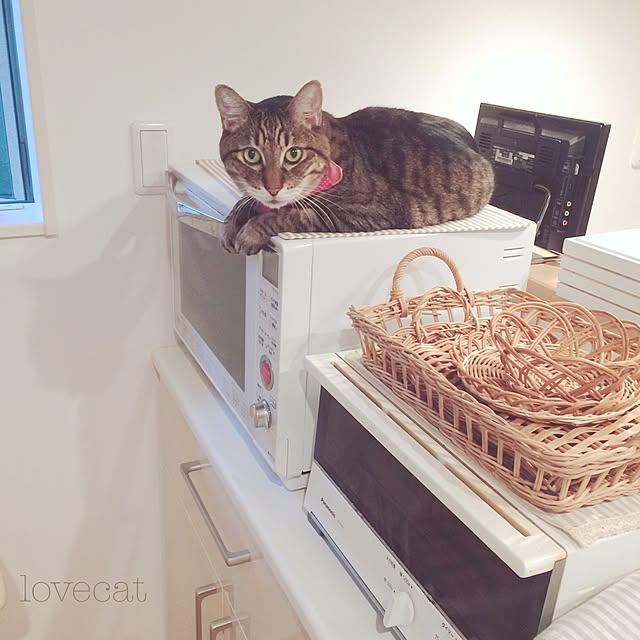 lovecatさんの実例写真