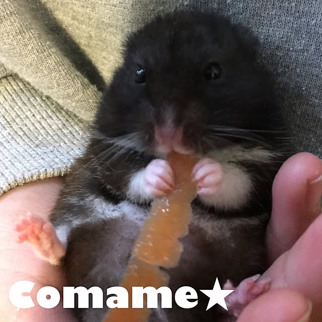 yunさんの実例写真