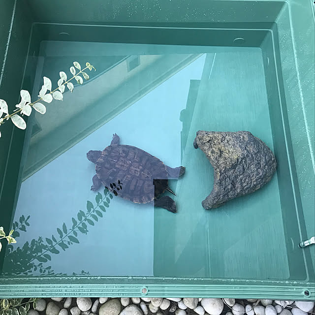 mpwさんの実例写真