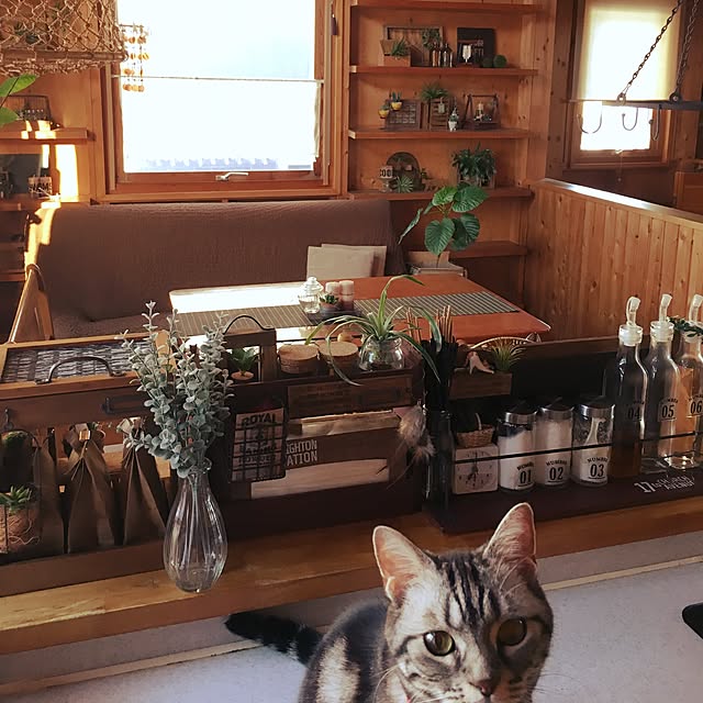 Mikiさんの実例写真