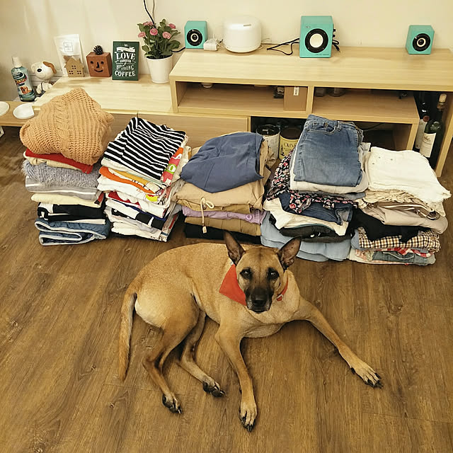 hahamiya365さんの実例写真