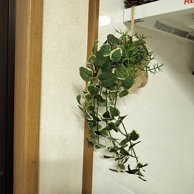 mash-room.aeさんの部屋