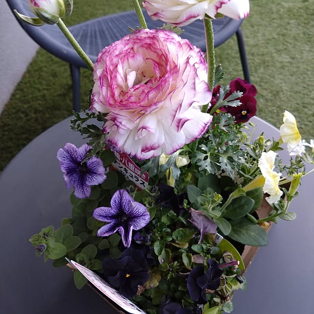 kakkaさんの実例写真