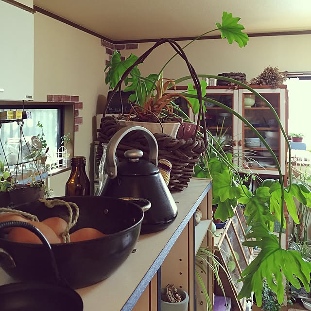 Norikoさんの実例写真