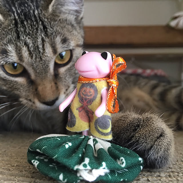 mikomaruさんの実例写真