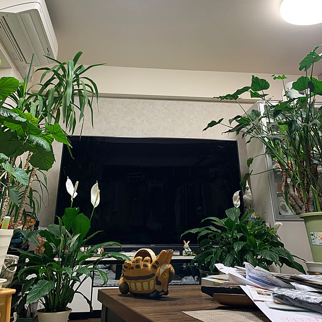 Aqettyさんの部屋