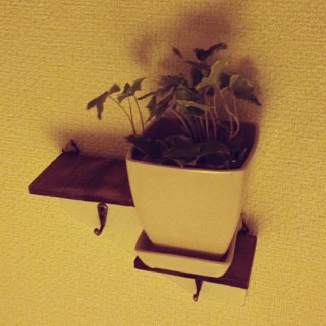 ponchu37さんの実例写真