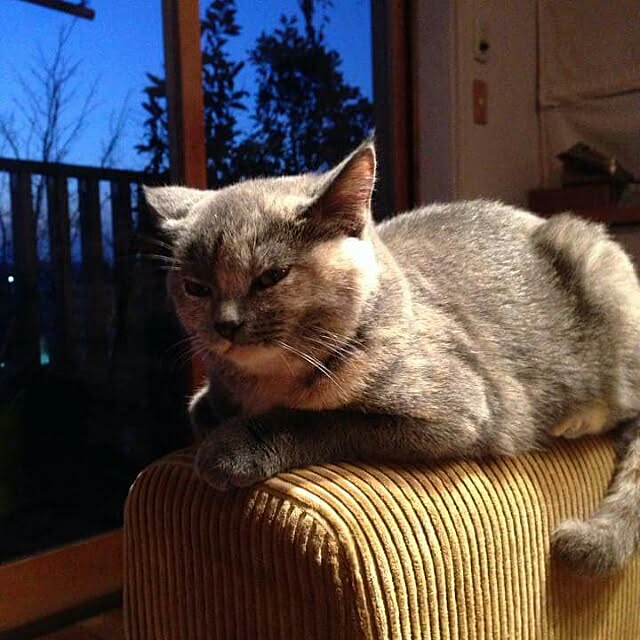 Yosukeさんの実例写真