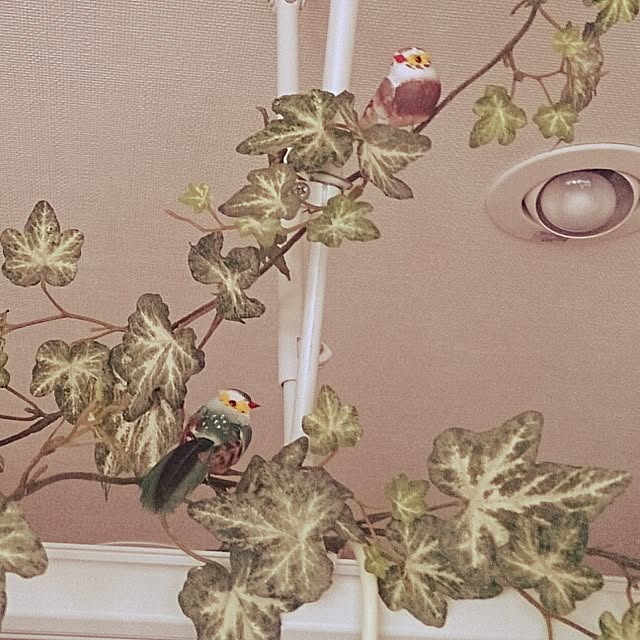 Asakoさんの実例写真