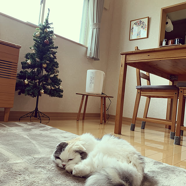 yoneさんの実例写真