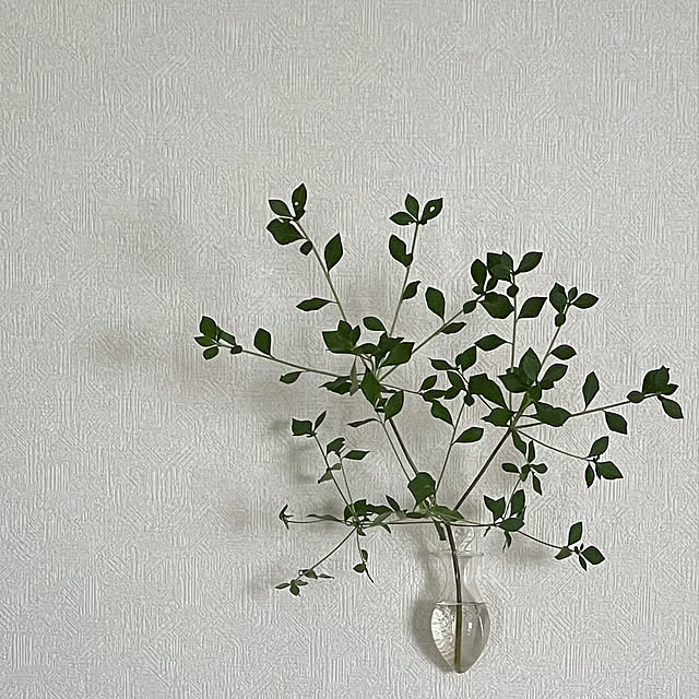 emiさんの実例写真