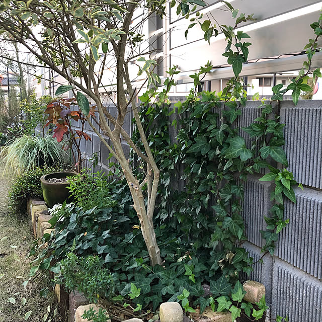 nanachanmamaさんの実例写真