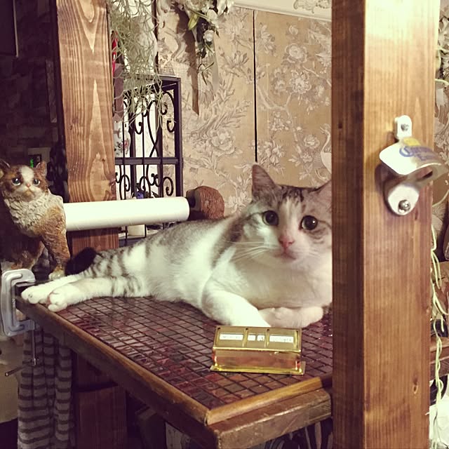emmyyさんの実例写真