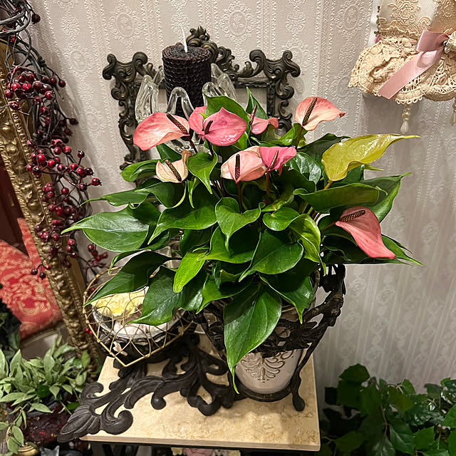 AYUKOさんの部屋