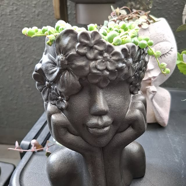 noaさんの実例写真