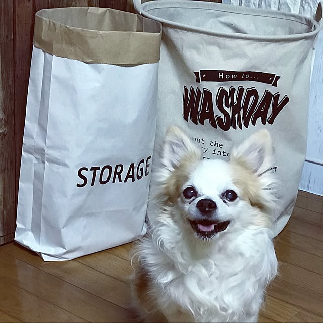 seroriさんの実例写真