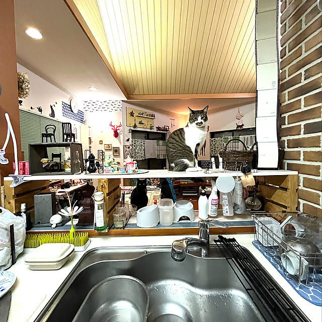 jijiさんの実例写真