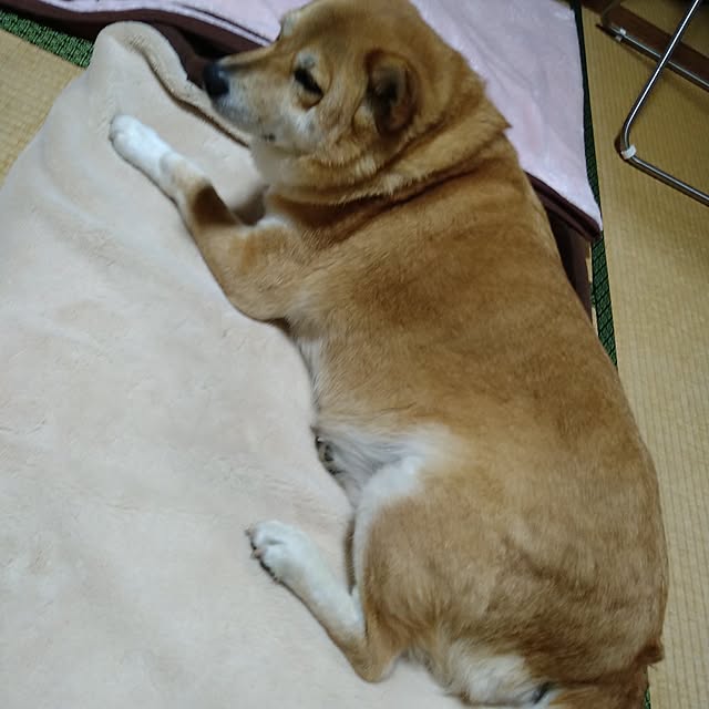 yanyon0194さんの部屋