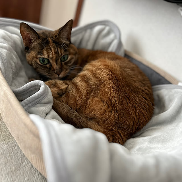 mikeume7さんの部屋