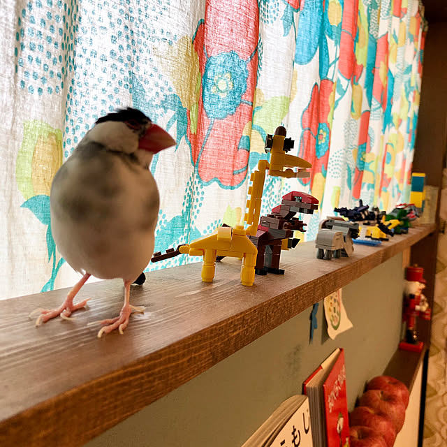 soramameさんの実例写真