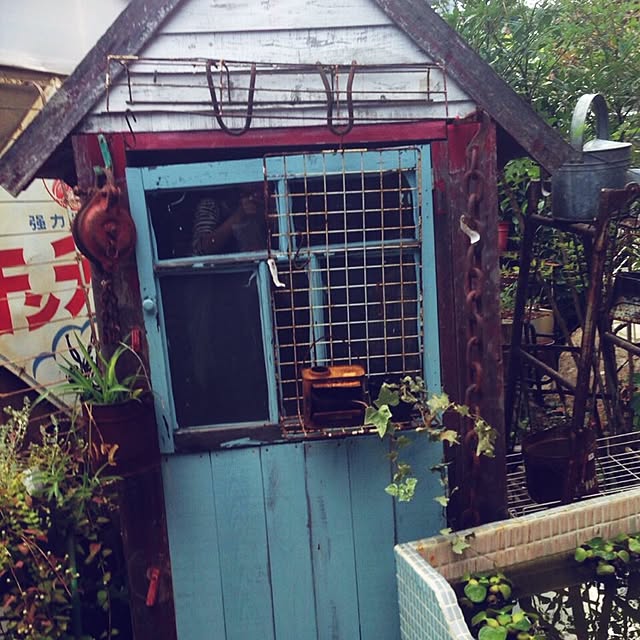 rikuさんの実例写真
