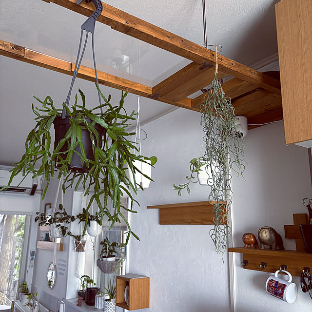 masamasaさんの部屋