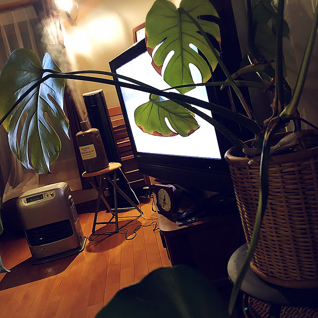 noncoさんの実例写真