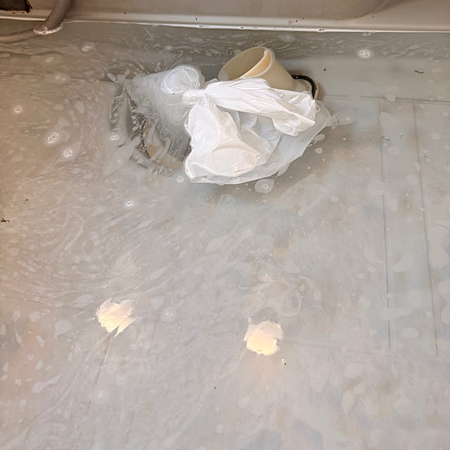 chaimomさんの部屋