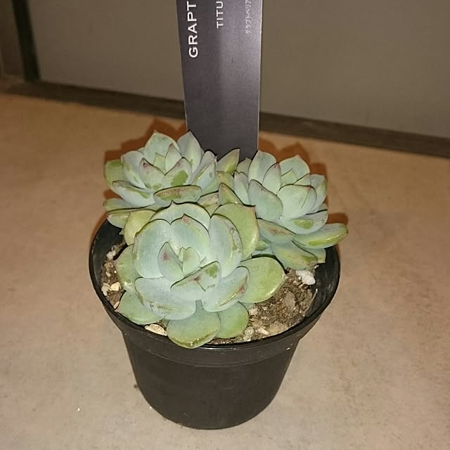hideさんの実例写真