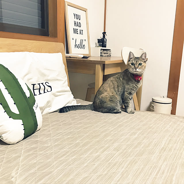 miki178さんの実例写真