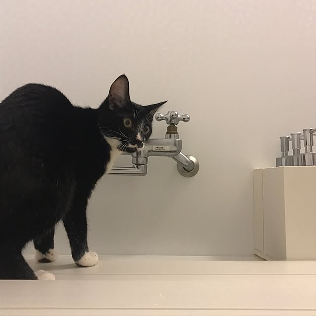 ____Mukさんの実例写真