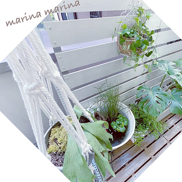 marina.marina.77さんの実例写真