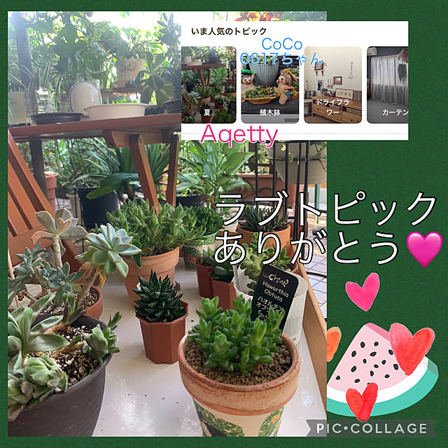 Aqettyさんの部屋