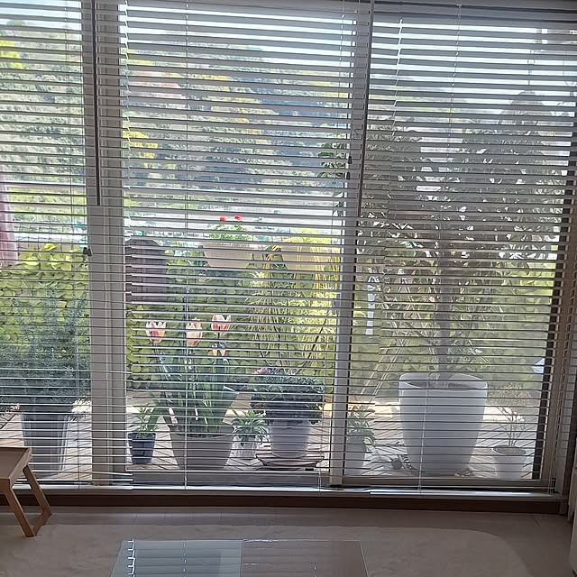 hakata-baさんの実例写真